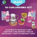 Sole Sağlık Maxi Su Canlandırma Seti (1 Büyük Tabla, 1 Mini Tabla, 2 Alkamine Ph Damla)