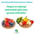 Sole Sağlık Maxi Su Canlandırma Seti (1 Büyük Tabla, 1 Mini Tabla, 2 Alkamine Ph Damla)