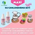 Sole Sağlık Maxi Light Su Canlandırma Seti (1 Büyük Tabla, 1 Mini Tabla, 2 Alkamine Light Ph Damla)