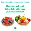 Sole Manyetik Canlandırma Tablası Mini Boy (Bardak Ve Şişe Altı)